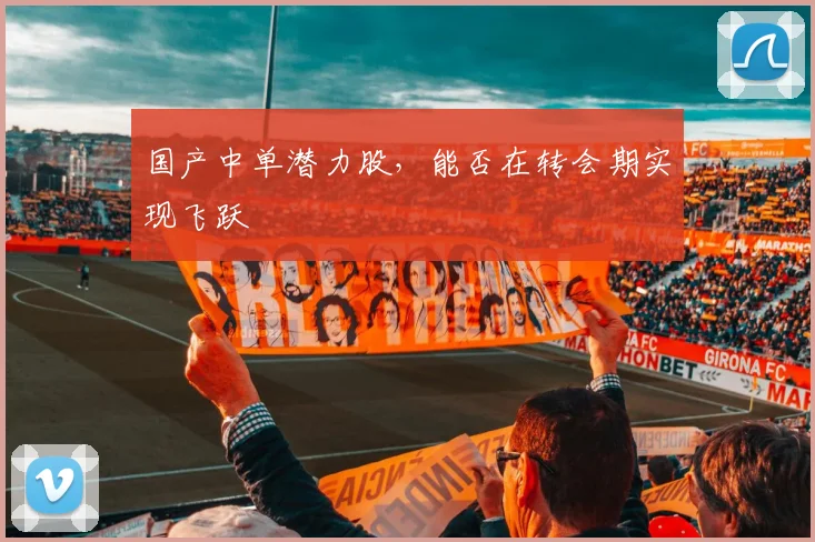 国产中单潜力股，能否在转会期实现飞跃